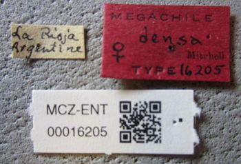 Media type: image;   Entomology 16205 Aspect: labels